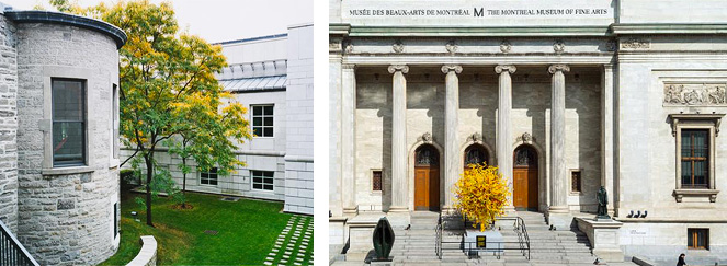 Museums